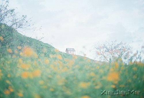 晚安心语：一个人时，善待自己；两个人时，善待对方 (10)