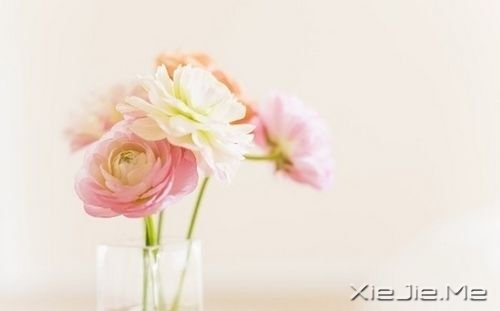 母亲依旧是那副“坏脾气”